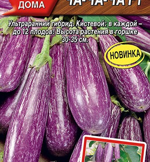 Баклажан Ча-ча-ча F1