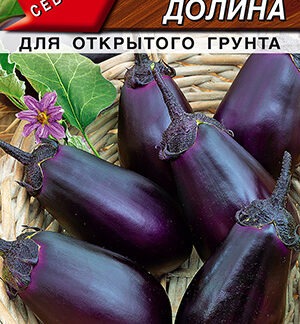 Баклажан Северная долина