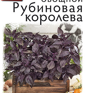 Базилик овощной Рубиновая королева