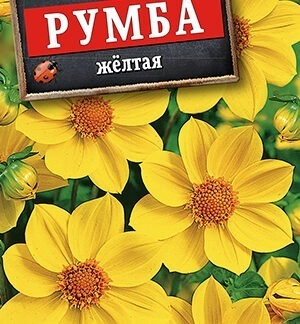 Георгина Румба желтая