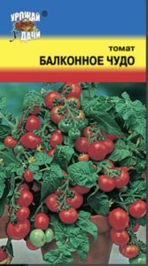 Томат Балконное чудо
