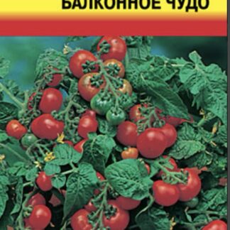 Томат Балконное чудо