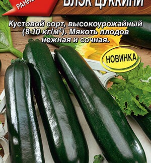 Кабачок Блэк цуккини