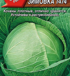 Капуста б/к Зимовка