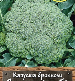 Капуста брокколи Зеленая фея F1