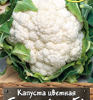 Капуста цветная Белая фея F1