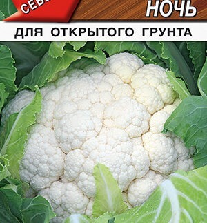 Капуста цветная Полярная ночь