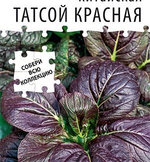 Капуста китайская Татсой красная