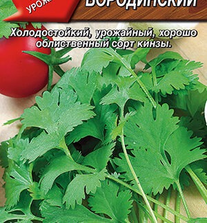 Кориандр овощной Бородинский