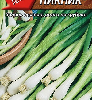 Лук батун Пикник