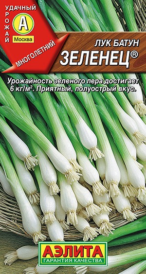 Лук батун Зеленец