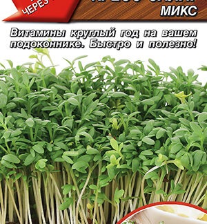Микрозелень Кресс-салат микс