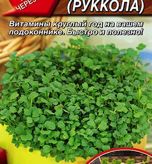 Микрозелень Руккола