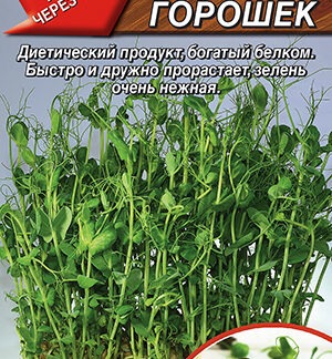 Микрозелень Зеленый горошек