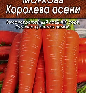 Морковь Королева осени драже