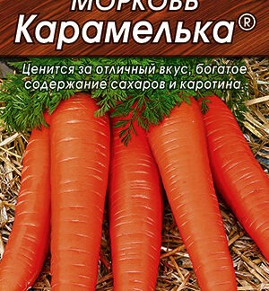 Морковь Карамелька на ленте