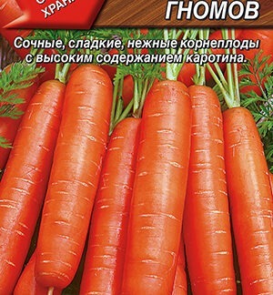 Морковь Лакомство гномов