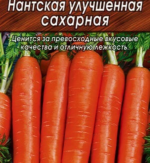 Морковь Нантская улучшенная сахарная на ленте