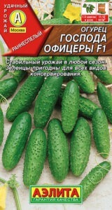 Огурец Господа офицеры F1