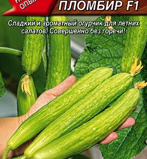 Огурец Китайский пломбир F1
