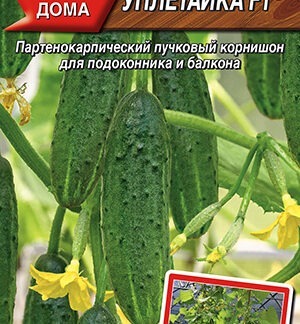 Огурец Уплетайка F1