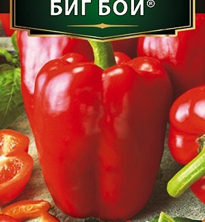 Перец сладкий Биг Бой