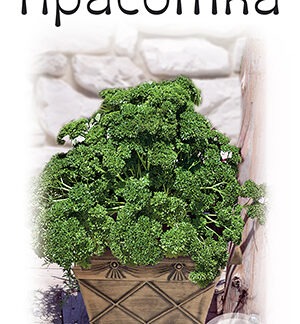 Петрушка кудрявая Красотка