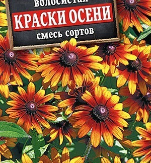 Рудбекия Краски осени, смесь сортов