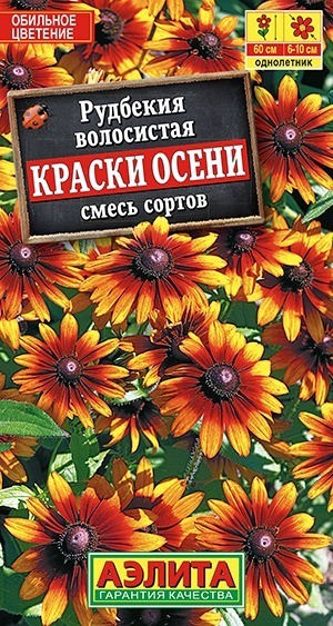 Рудбекия Краски осени, смесь сортов