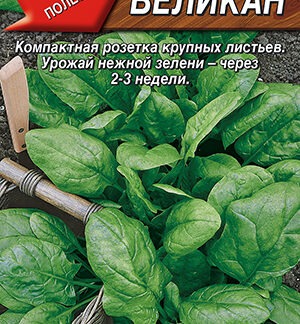 Шпинат Великан
