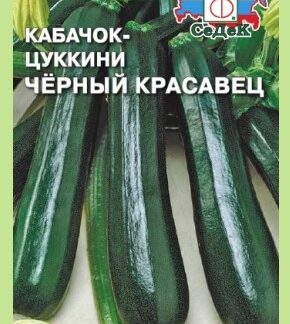 КАБАЧОК ЧЕРНЫЙ КРАСАВЕЦ