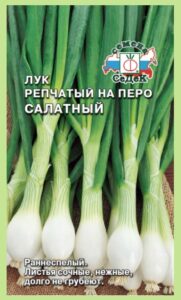 ЛУК САЛАТНЫЙ на перо