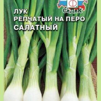 ЛУК САЛАТНЫЙ на перо
