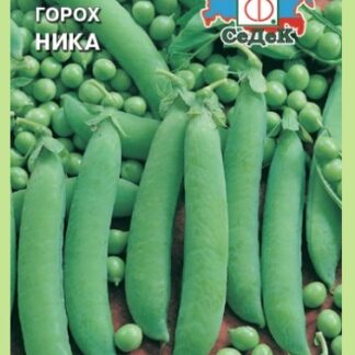 ГОРОХ НИКА