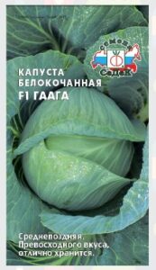 Капуста Гаага F1