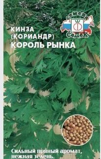 Кориандр Король Рынка