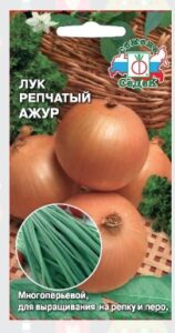 Лук Ажур (репчатый)