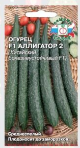 Огурец Аллигатор 2 F1