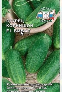 Огурец Виват F1
