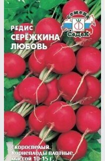 Редис Сережкина любовь