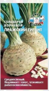 Сельдерей Пражский гигант (корневой)