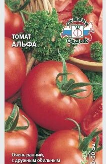 Томат Альфа