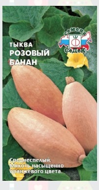 Тыква Розовый Банан
