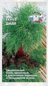 Укроп Дилл