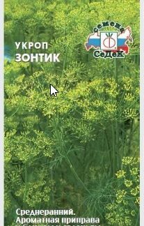 Укроп Зонтик