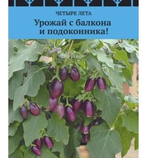 Баклажан Медальон