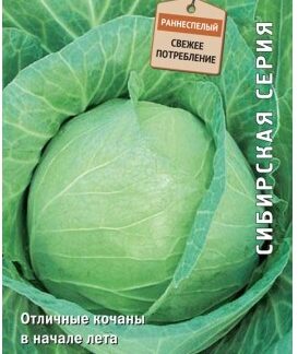 Капуста белокочанная Точка