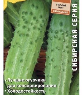 Огурец Алтай
