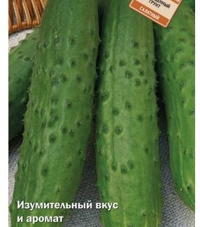 Огурец Хрустляндия F1