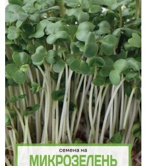 Капуста брокколи микрозелень